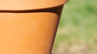 プランターって何を買えばいいの？初心者が失敗しない選び方を解説の画像