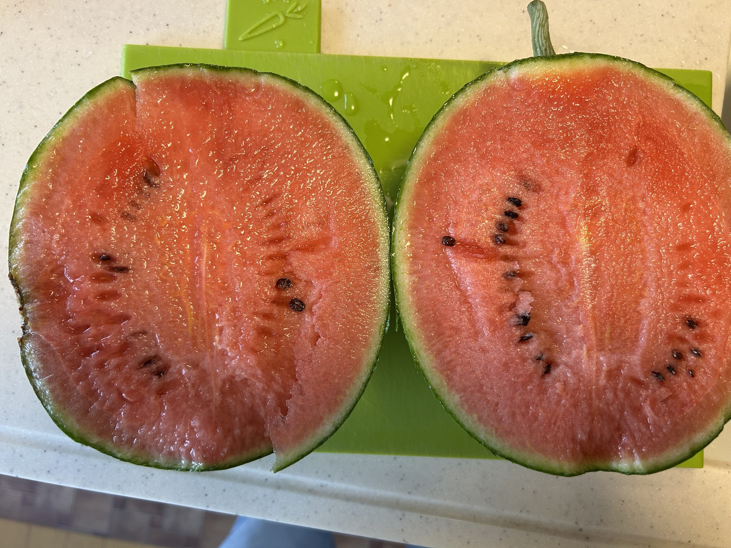 割れたまま1か月育てたスイカの真っ赤な断面。問題なく食べられた